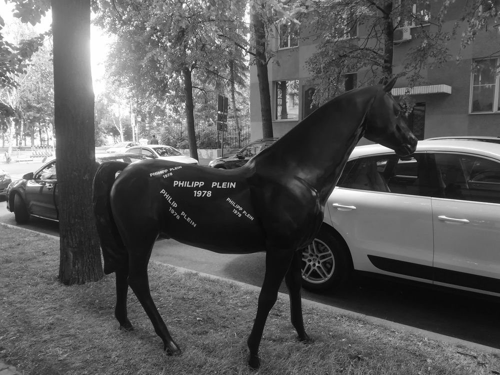 Photograph by Светлана Батурова