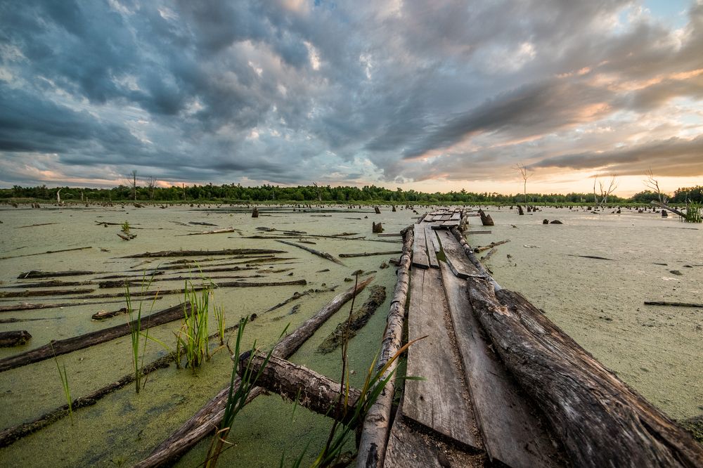 Photograph by Евгений Левин