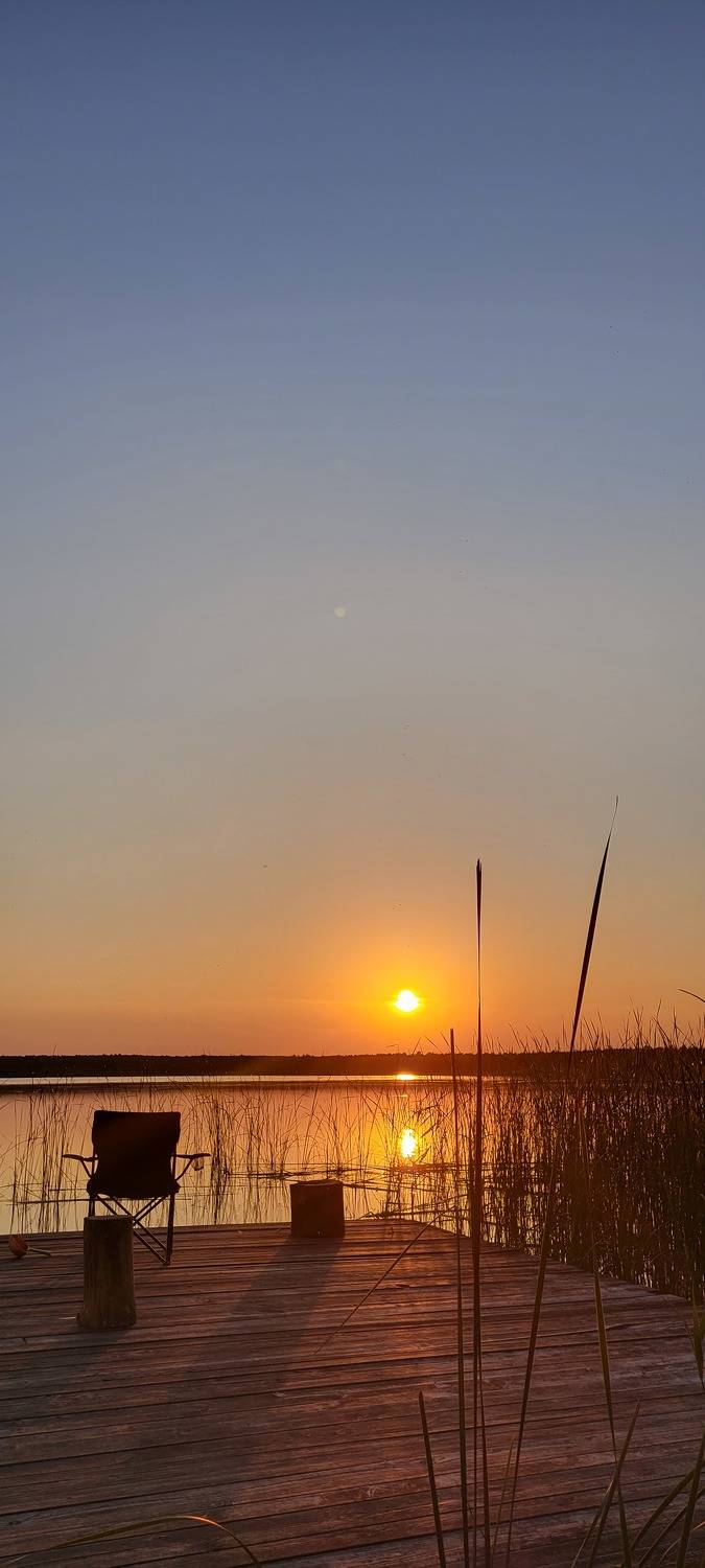 Photo #8802338