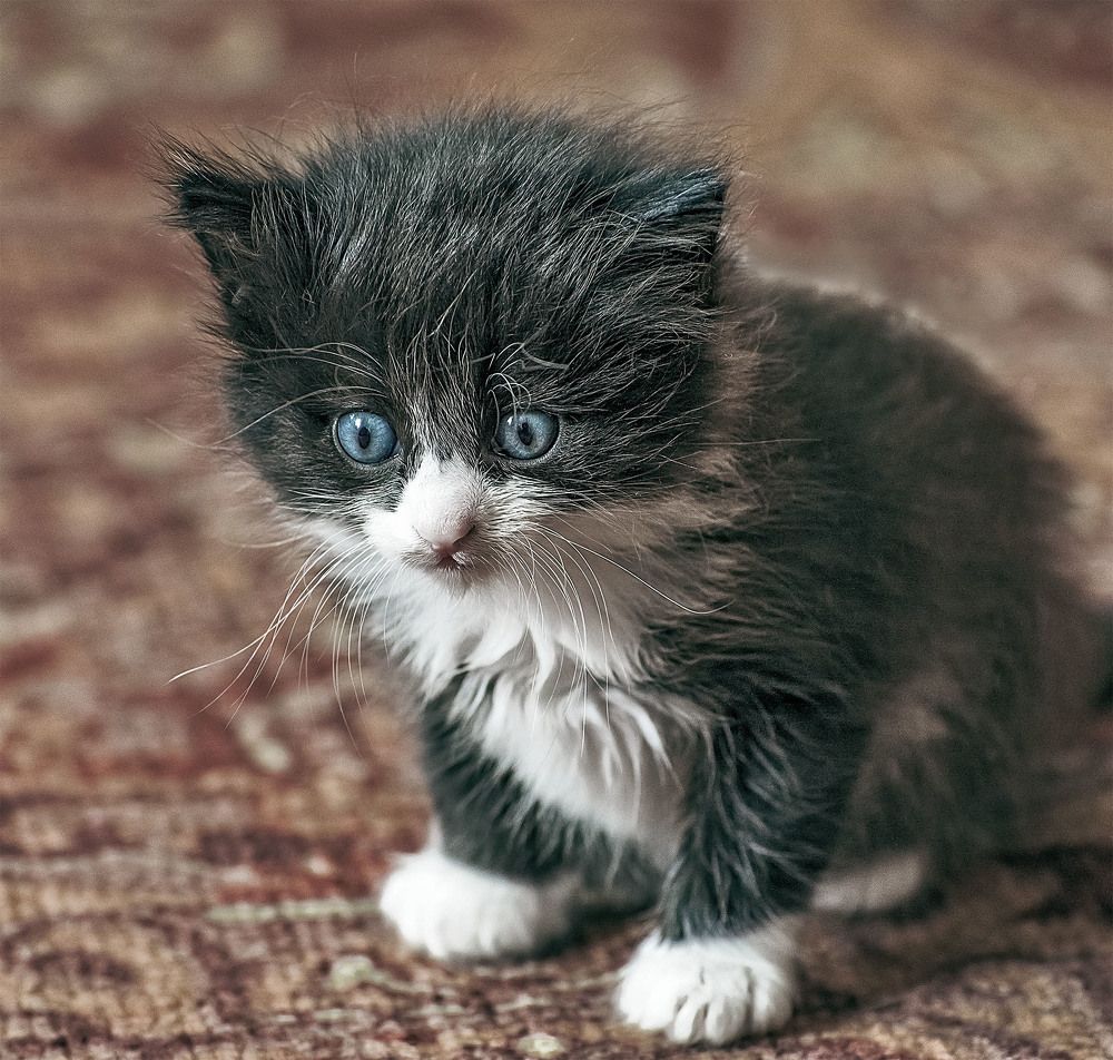 Photograph by Сергей