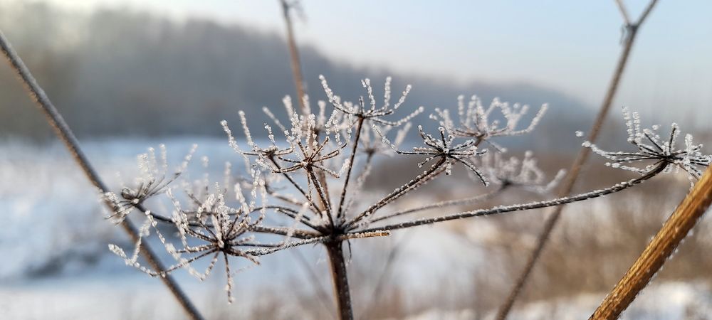Photograph by Станислав Карнаухов