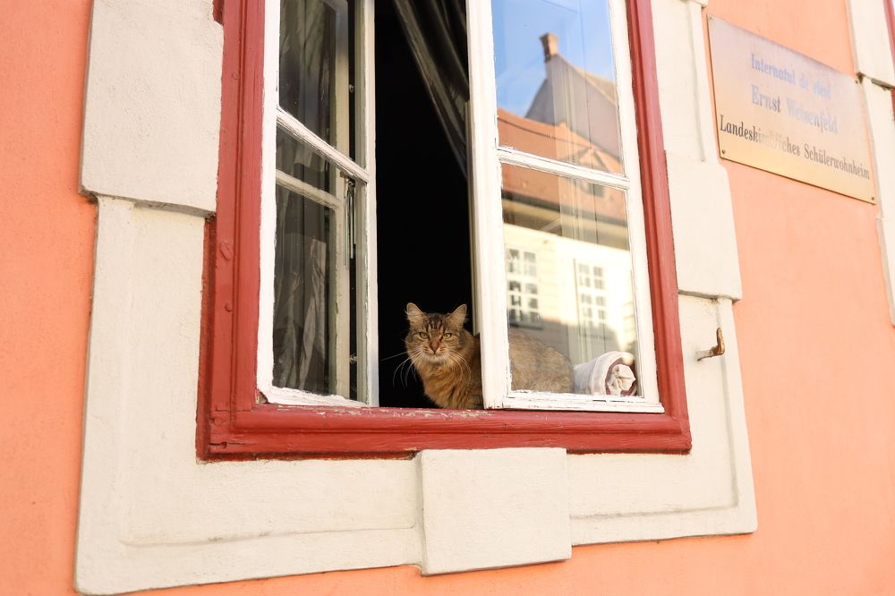 Photograph by Viktoria Burova