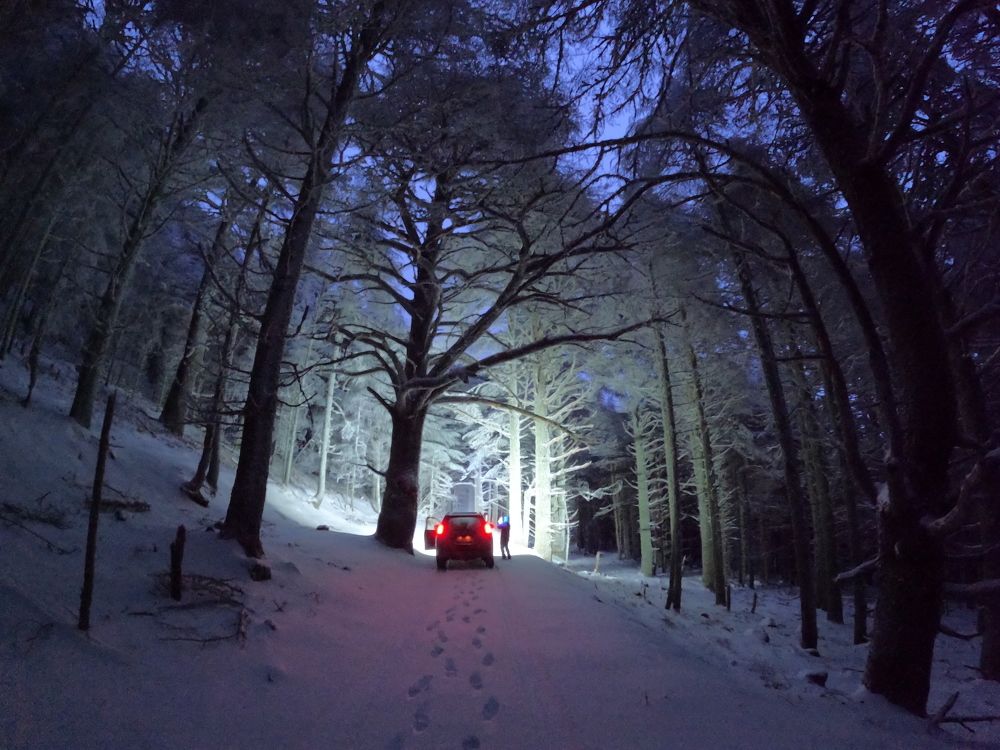 Photo #8802407