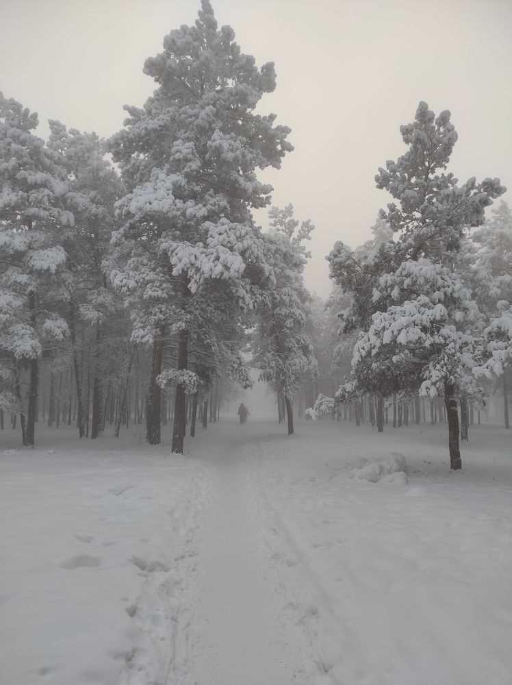 Photograph by Андреева Наталья Наумовна