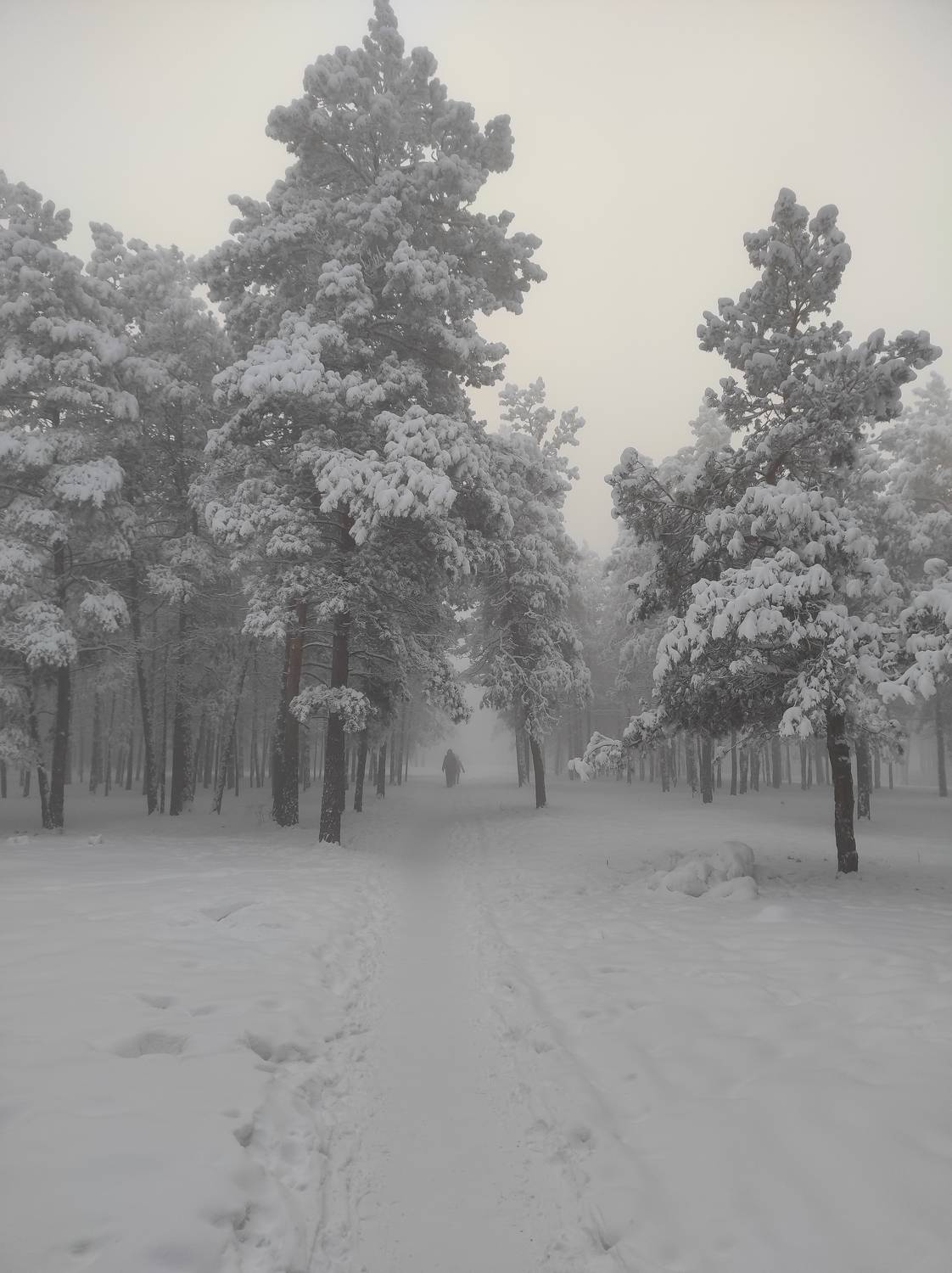 Photo #8802419