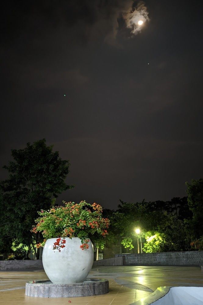 Photograph by SOUNDHARA PRAKASH S J