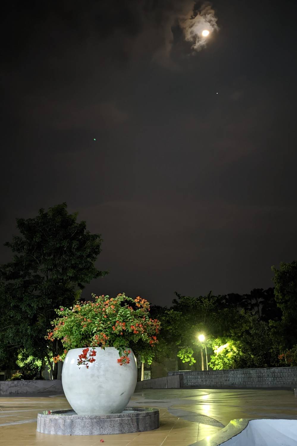 Photo #8802450