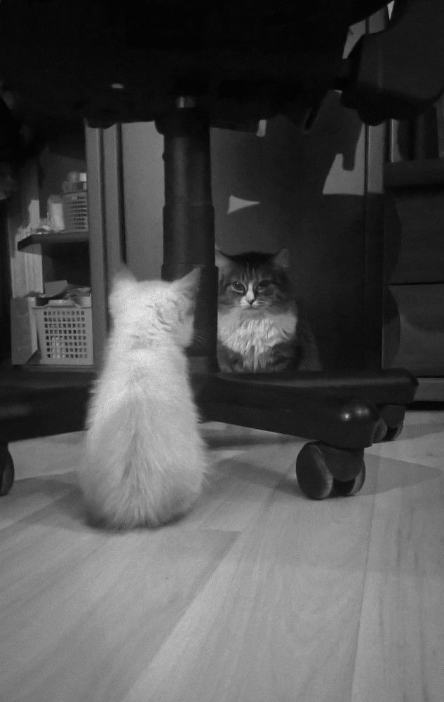 Photograph by Сергей Захаров