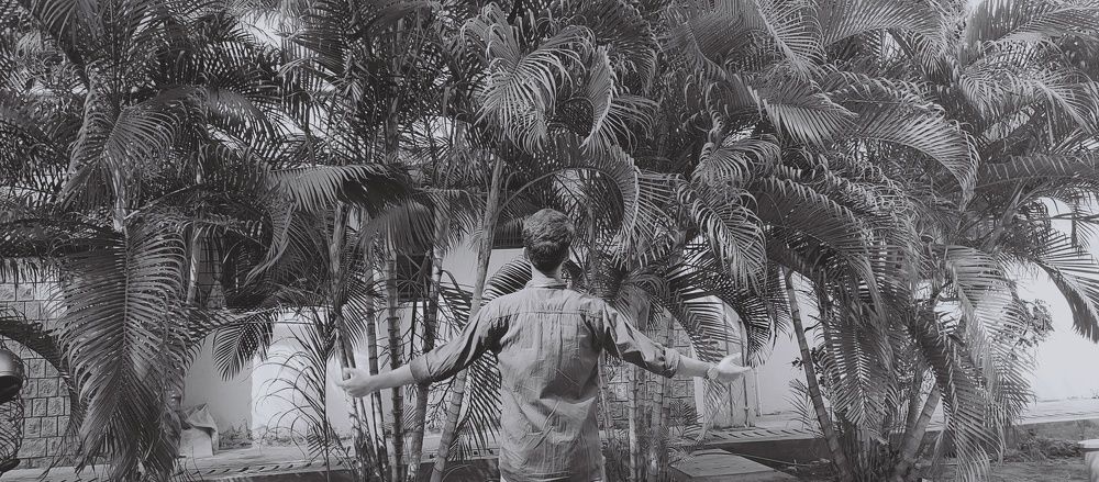 Photo #8802603