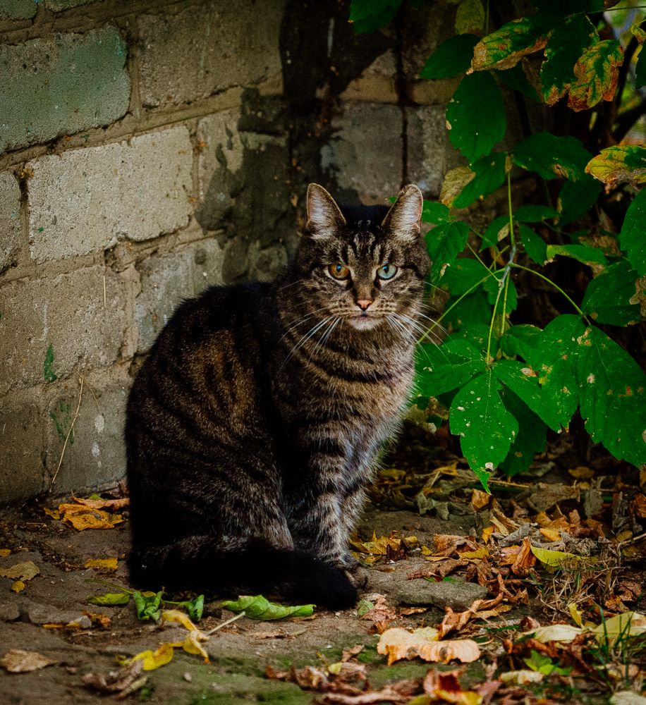 Photograph by Olga Zharkova