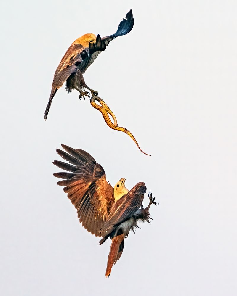 Photograph by Sourav Ganguli