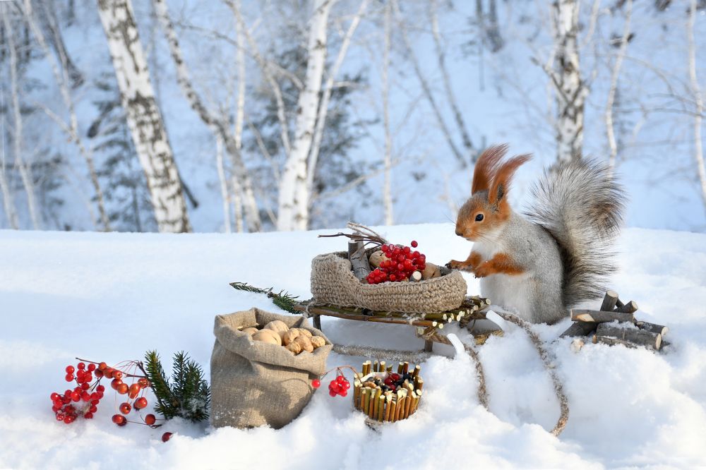 Белкин праздник