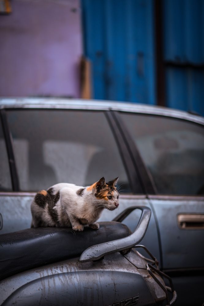 Photograph by Ashwani Thurwal