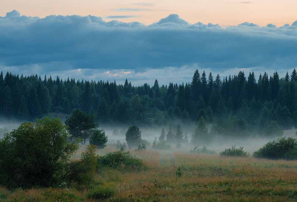 Photograph by Николай Ларионов