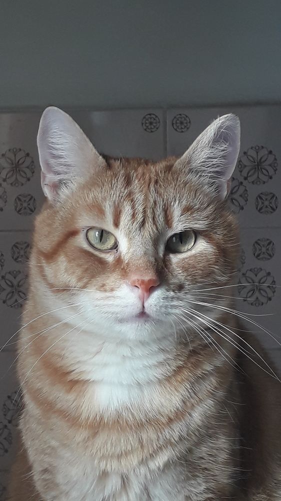 Photograph by Татьяна Солтан