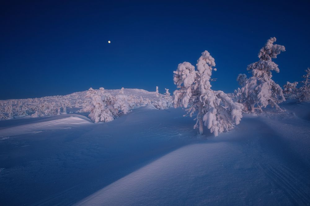 Photograph by Марина Сорокина