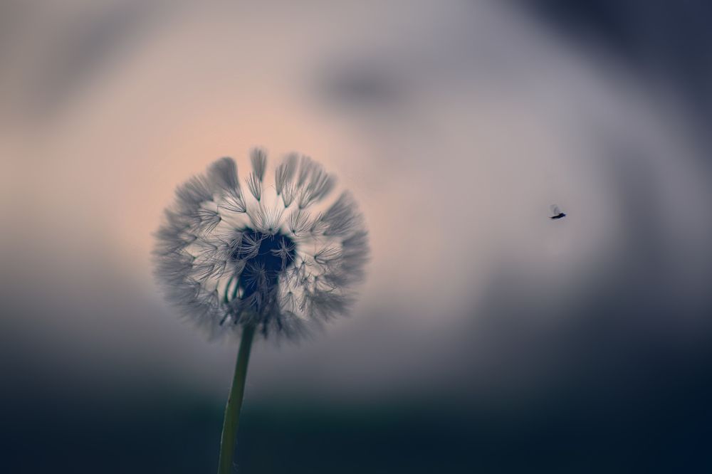 Photograph by Светлана