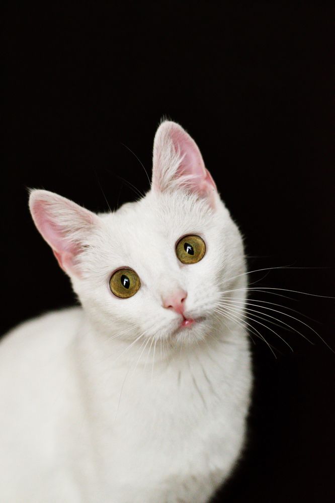 Photograph by Анжелика Семенютина