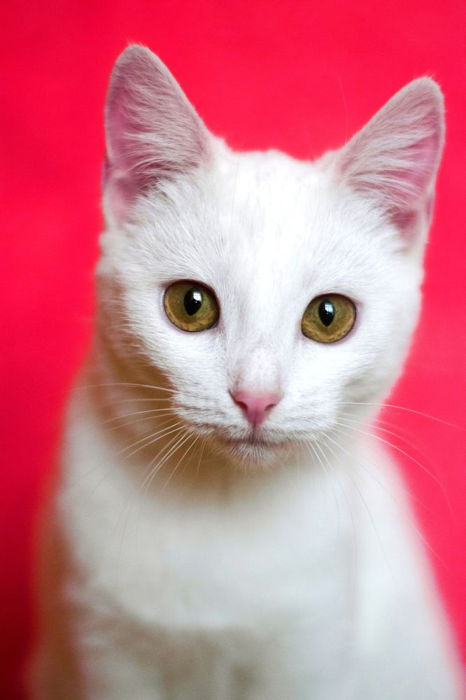 Photograph by Анжелика Семенютина