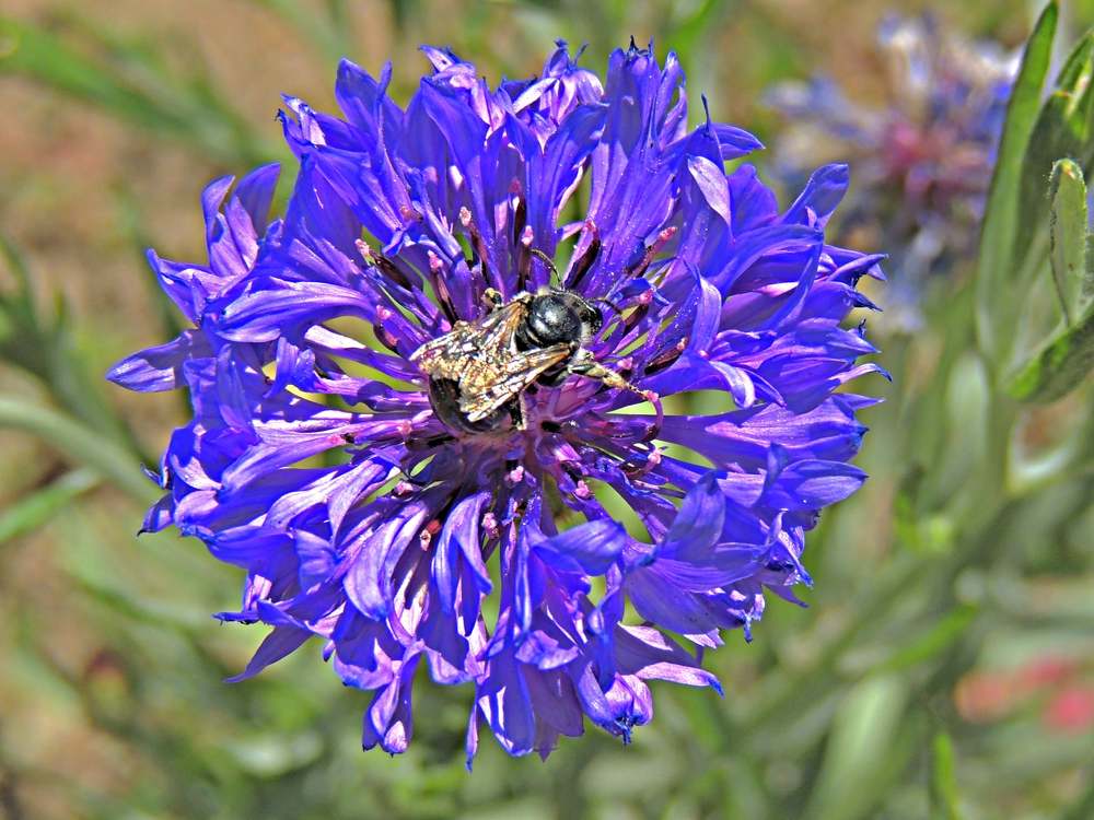 Photograph by Аспан