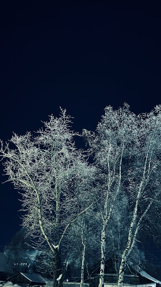 Photograph by Svetlana Kovalchuk