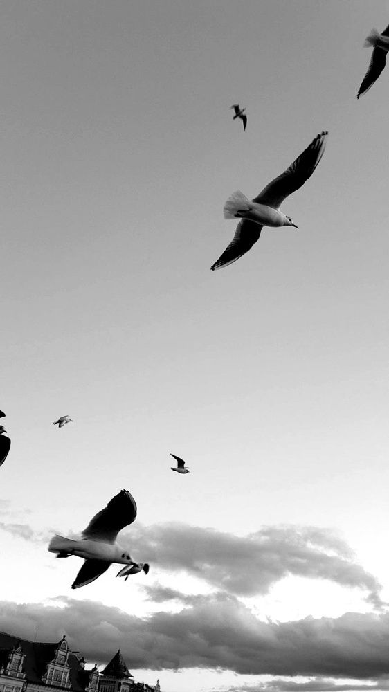 Фотография автора Ольга Мусина