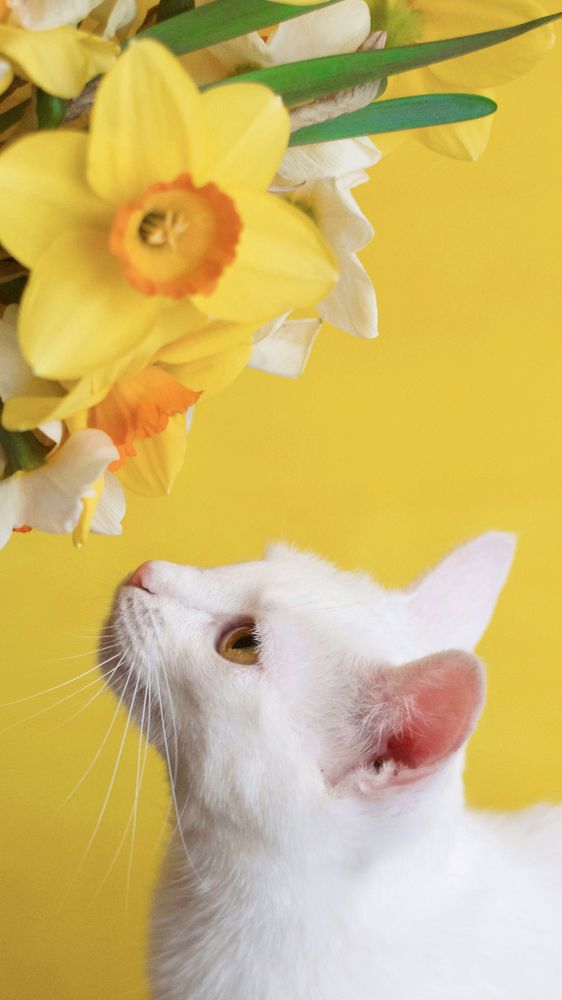 Photograph by Анжелика Семенютина