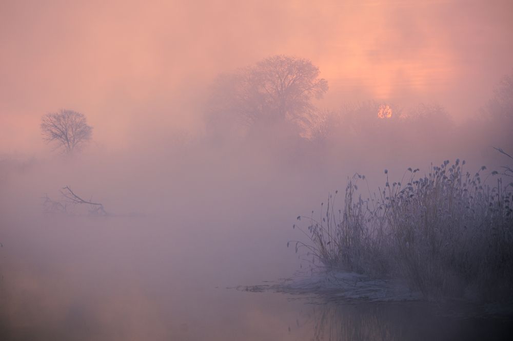 Photograph by Илья Толстоноженко