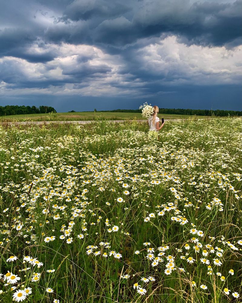 Перед вечерней грозой