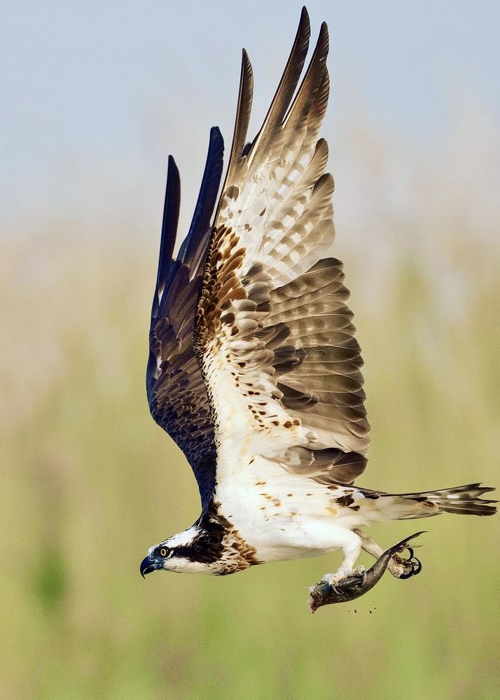 Photograph by Sibananda Bhanja