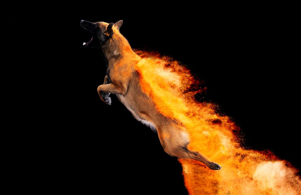 Photograph by Германика Юлия