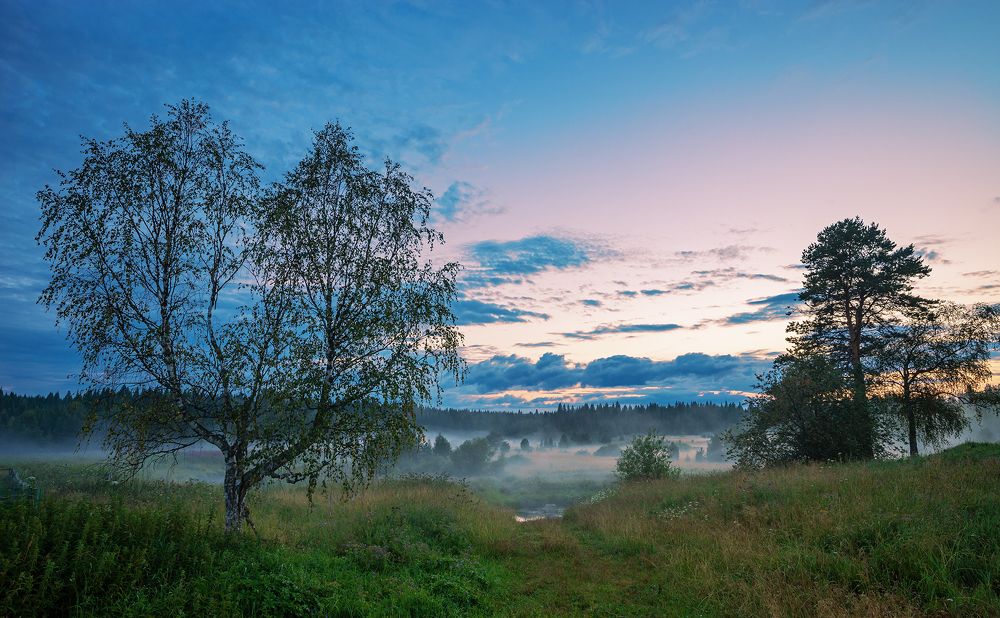 Photograph by Николай Ларионов