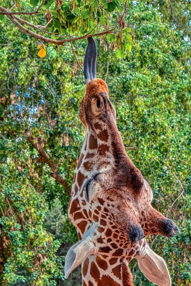 Photograph by Maxim Polak