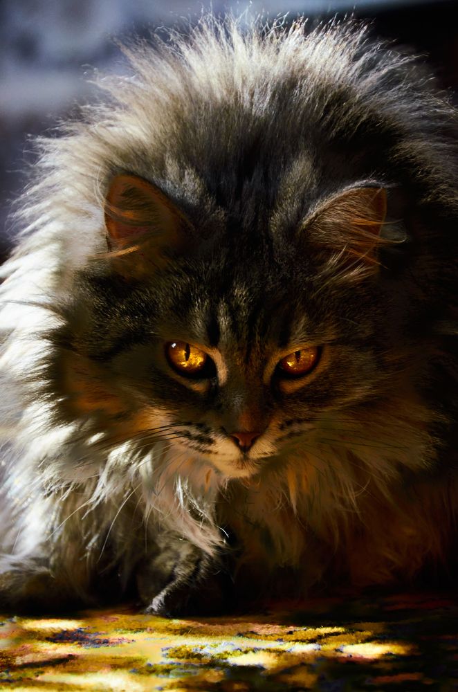 Photograph by Елена Кадаева