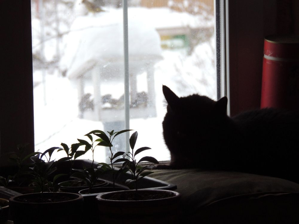 Photograph by Юлия Белова