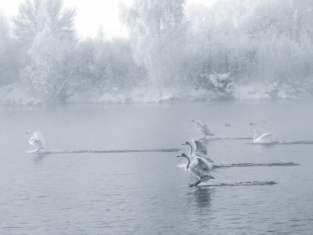 Photograph by Евгения Новоселова