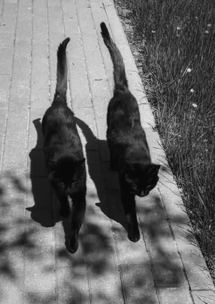 Photograph by Людмила Казак