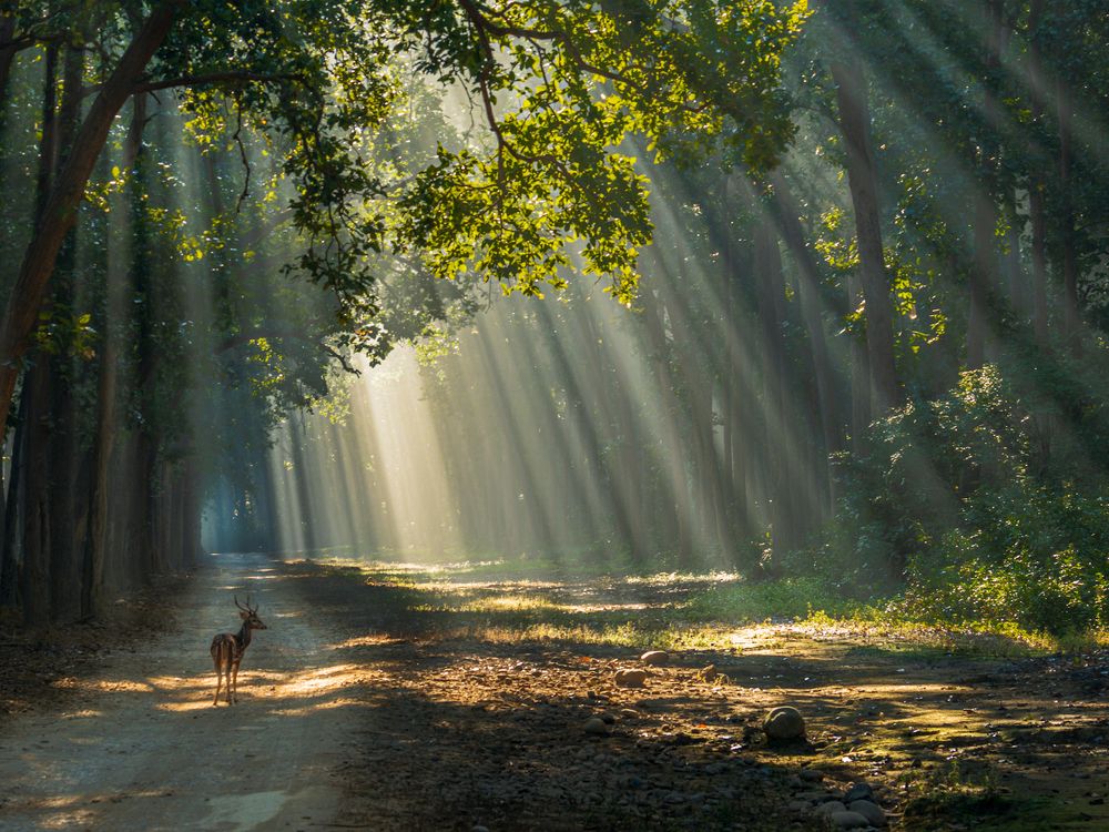 Photograph by Veeraiah Chowdary Kamepalli