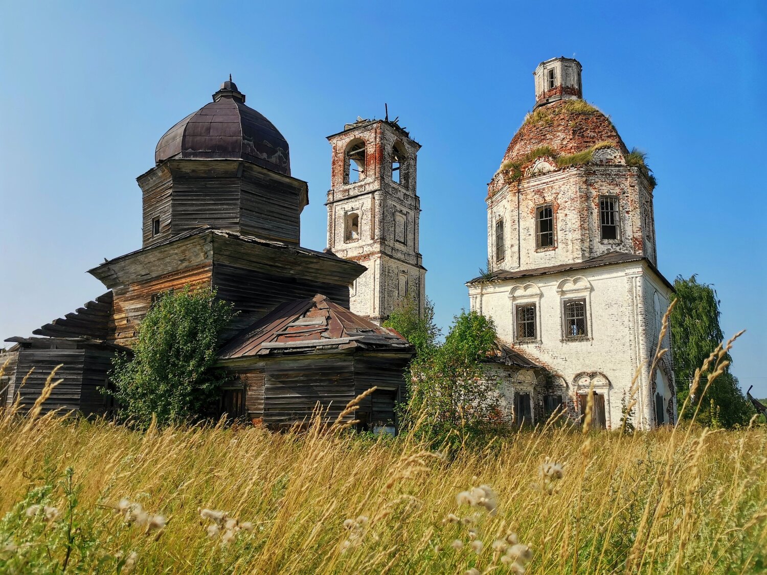 Фотография #8803181