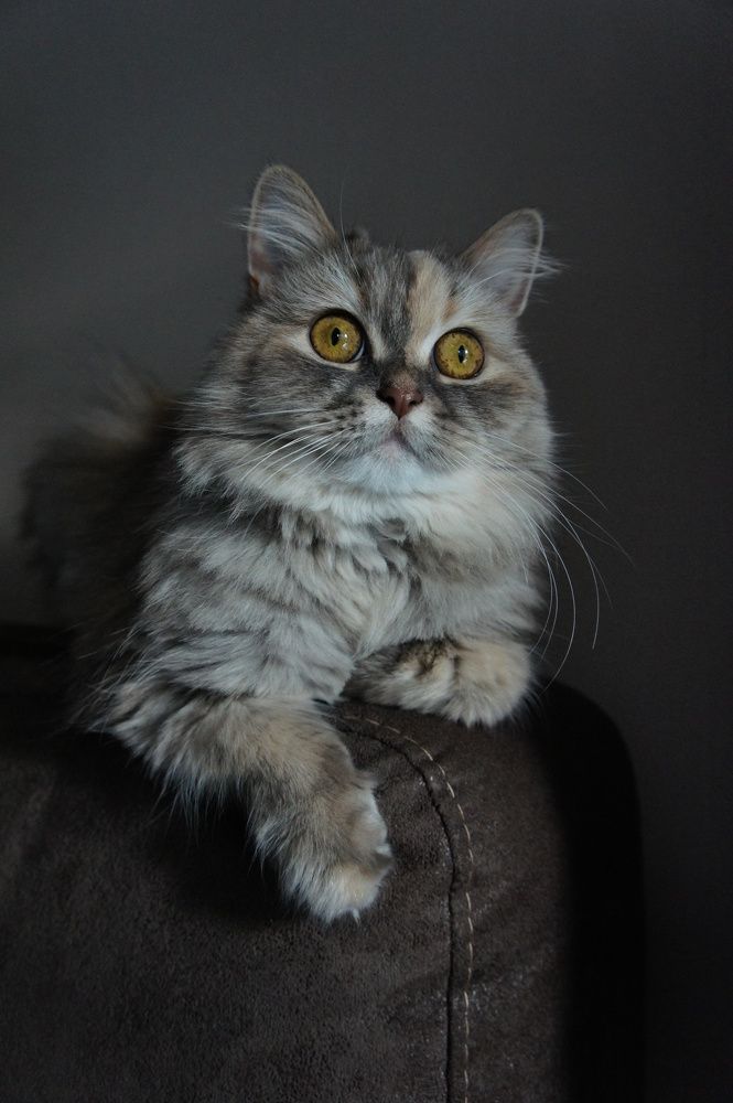 Photograph by Анна Давыдова