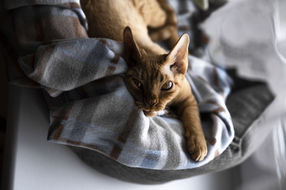 Photograph by Владимир Гвоздецкий