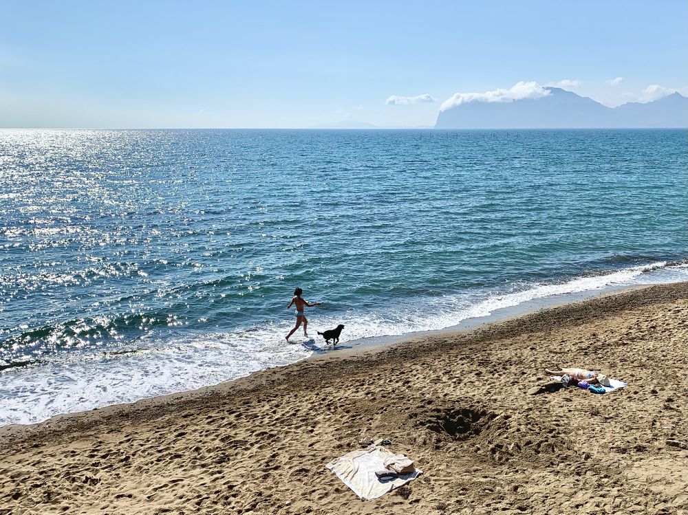 Photograph by v Stark