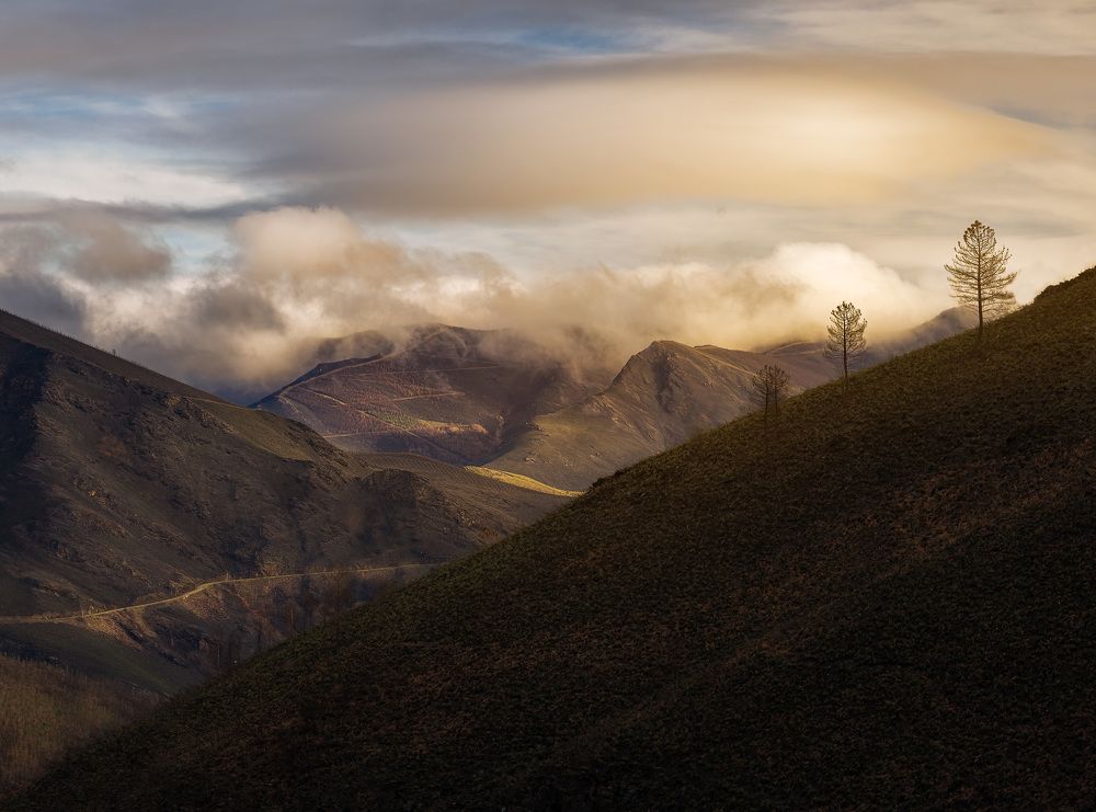 Photograph by Miguel Iglesias