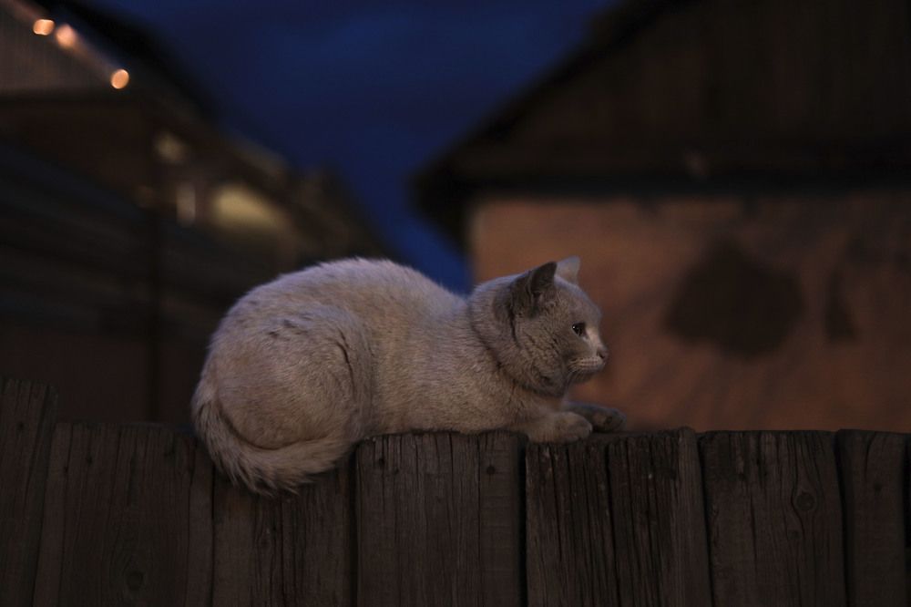 Photograph by Юлия Панова