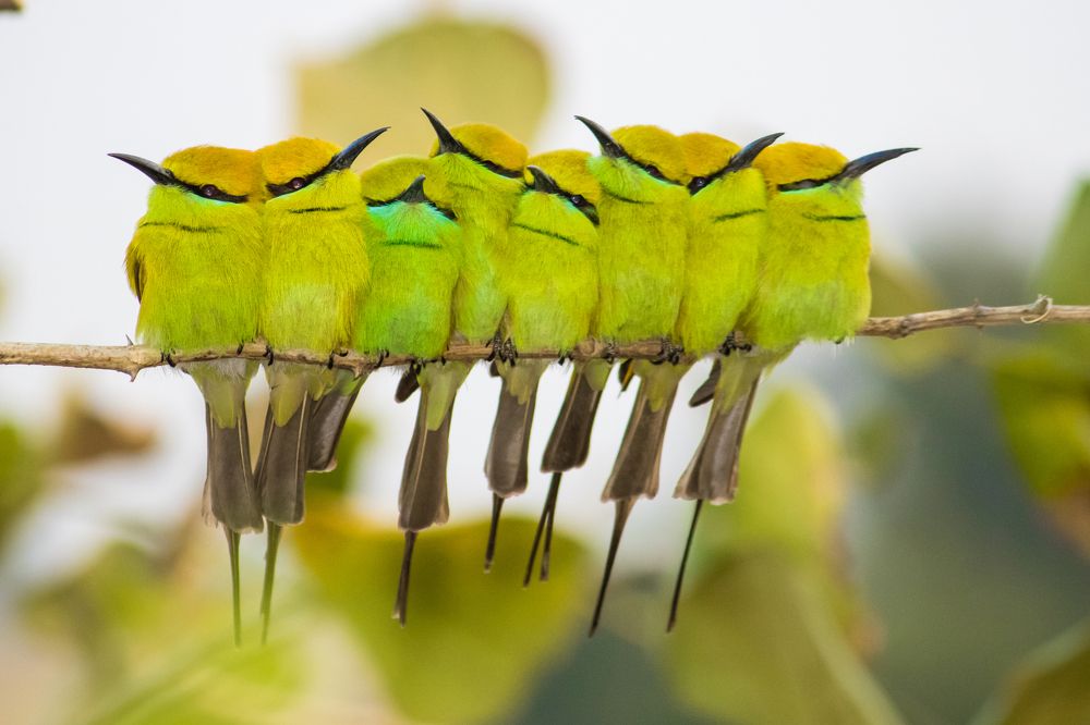 Photograph by Santosh Shelke