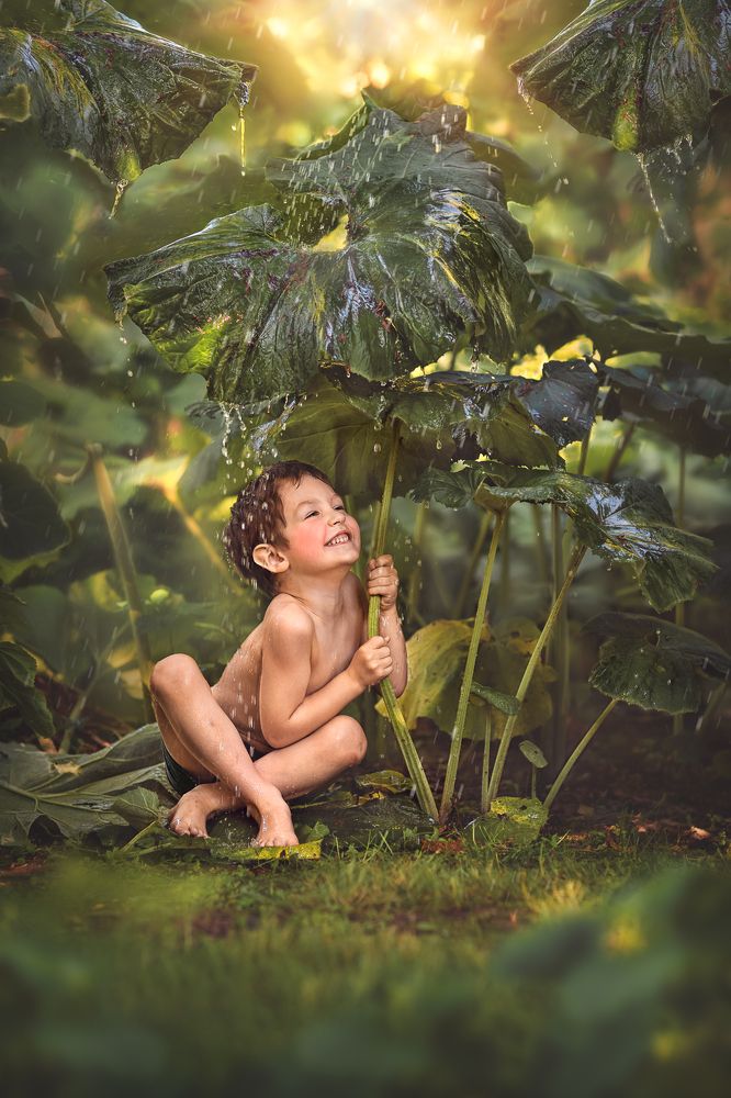 Грибной дождик.