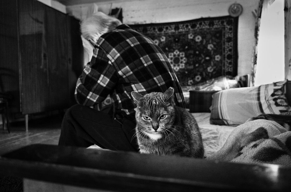 Grandpa and Cat