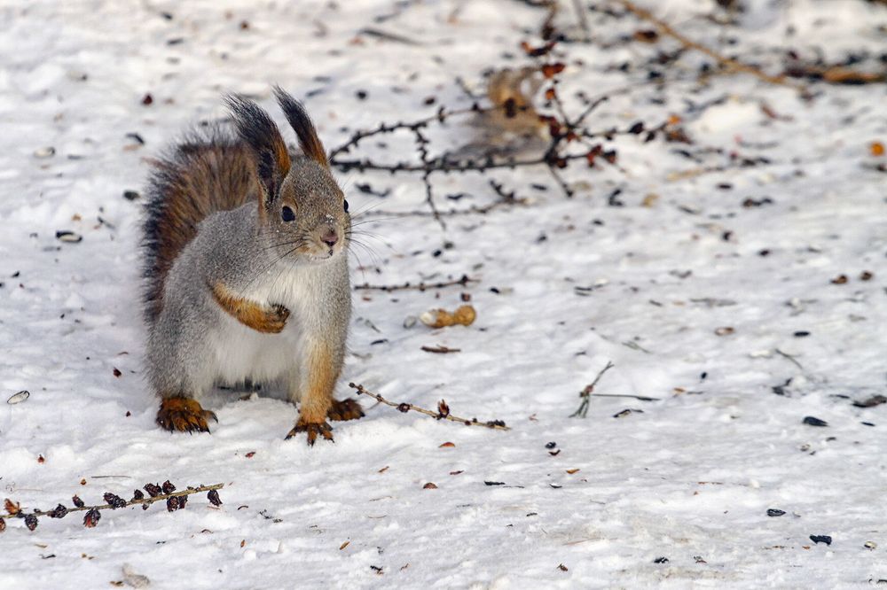 Photograph by Сергей Черных