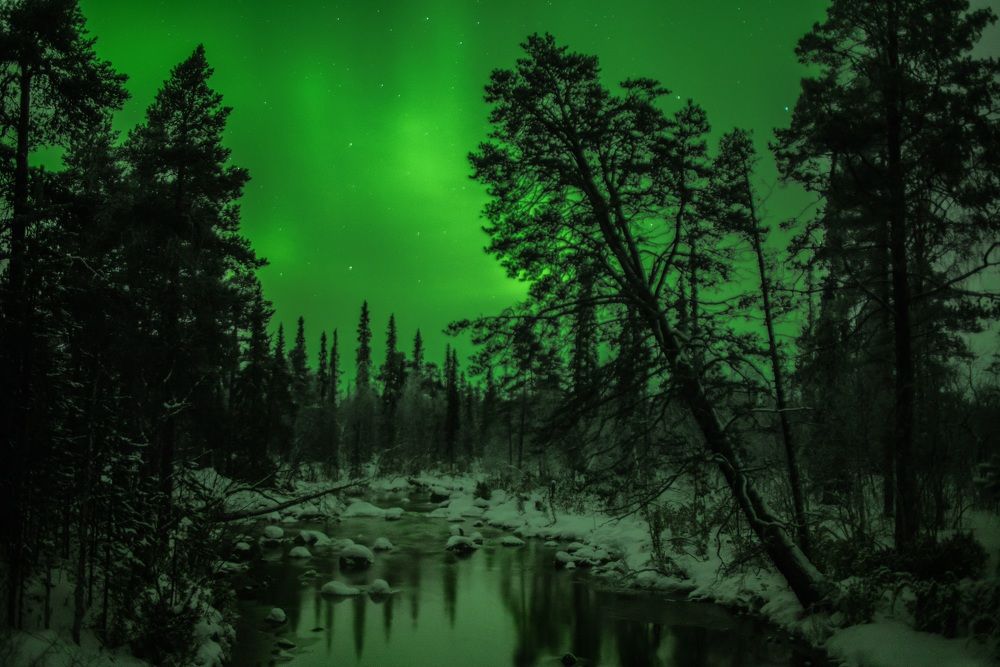 Photograph by Юлия Калугина