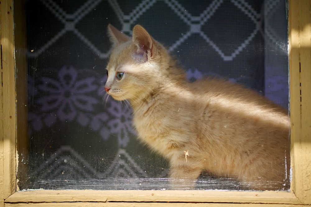 Photograph by Андрей Валерьевич